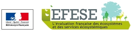 EFESE go to the home page